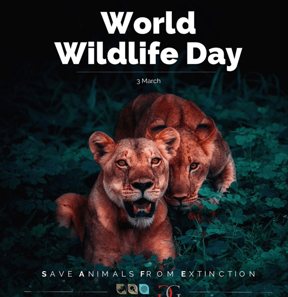 world wildlife day