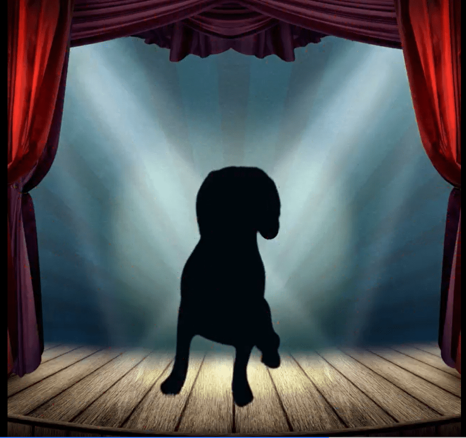 Big Reveal Coming Soon!