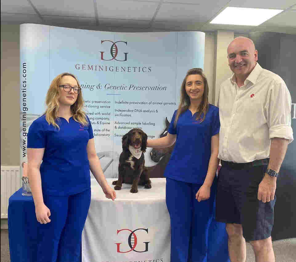 Gemini Genetics cloned dog