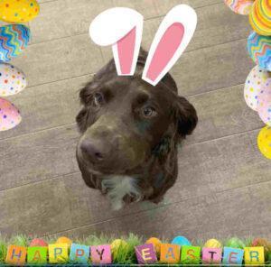 Happy easter
