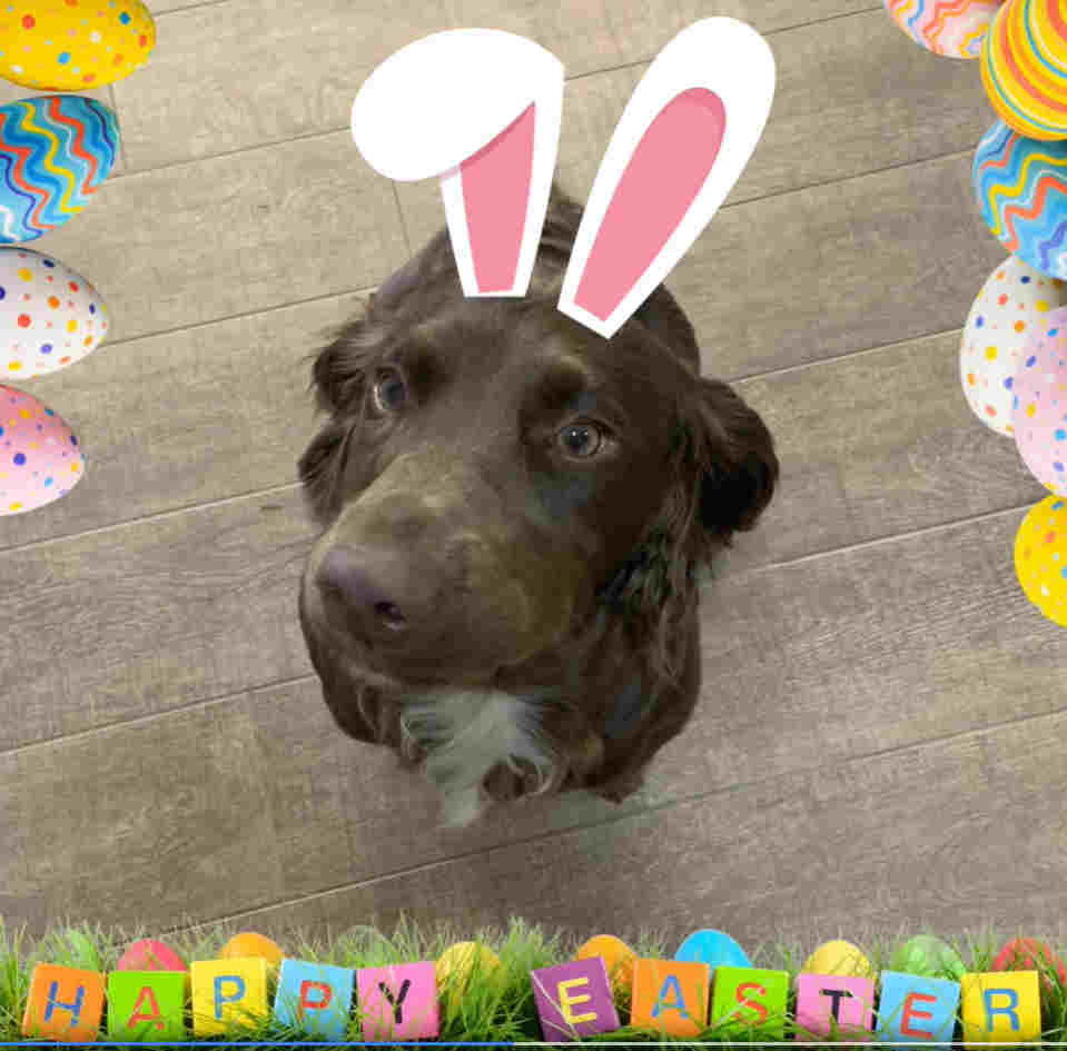 Happy easter