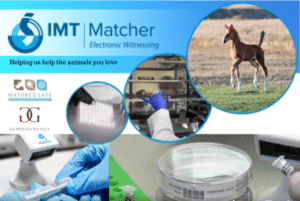 Matcher Gemini Genetics