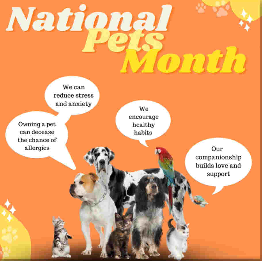 National Pet Month