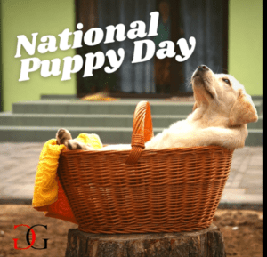 National puppy day