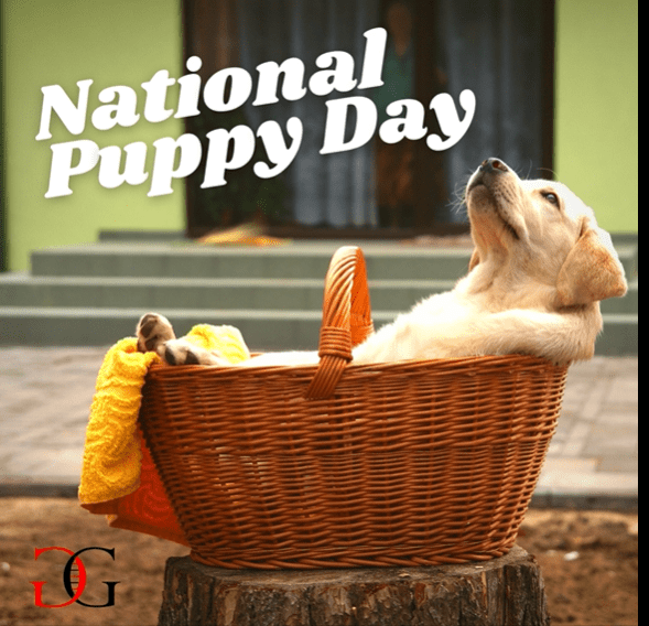 National puppy day