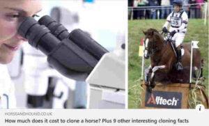 cloning horse and hound