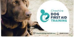 dog first aid elite kennel fertility 