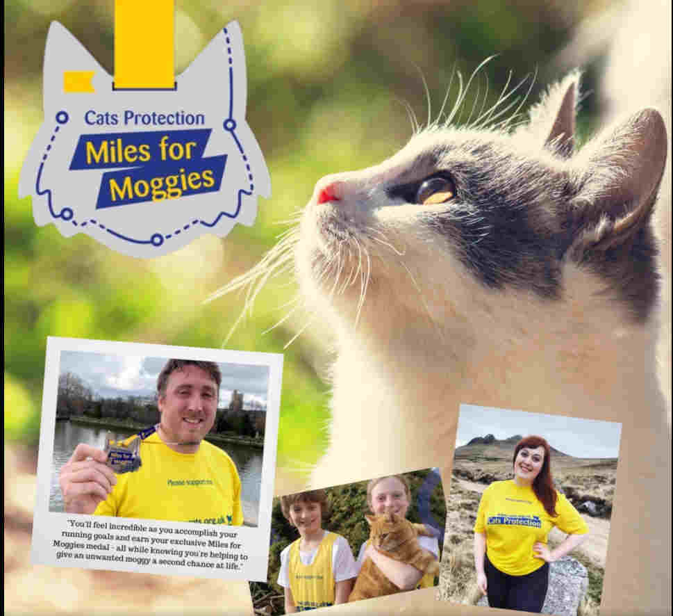 miles for moggies