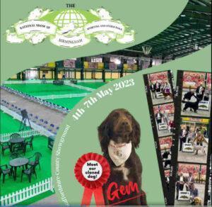 Birmingham dog show