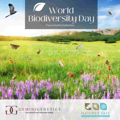 World Biodiversity Day