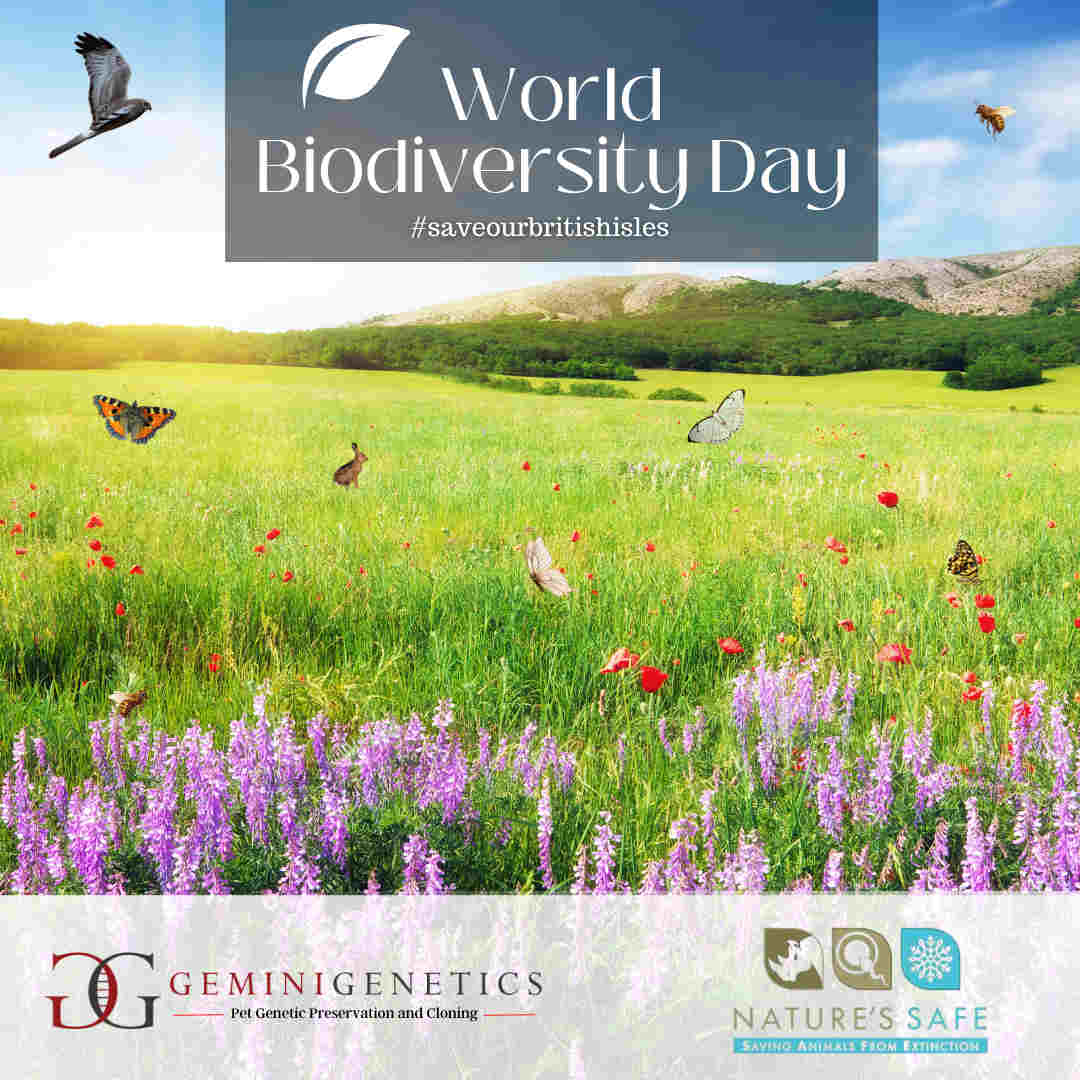 world biodiversity day
