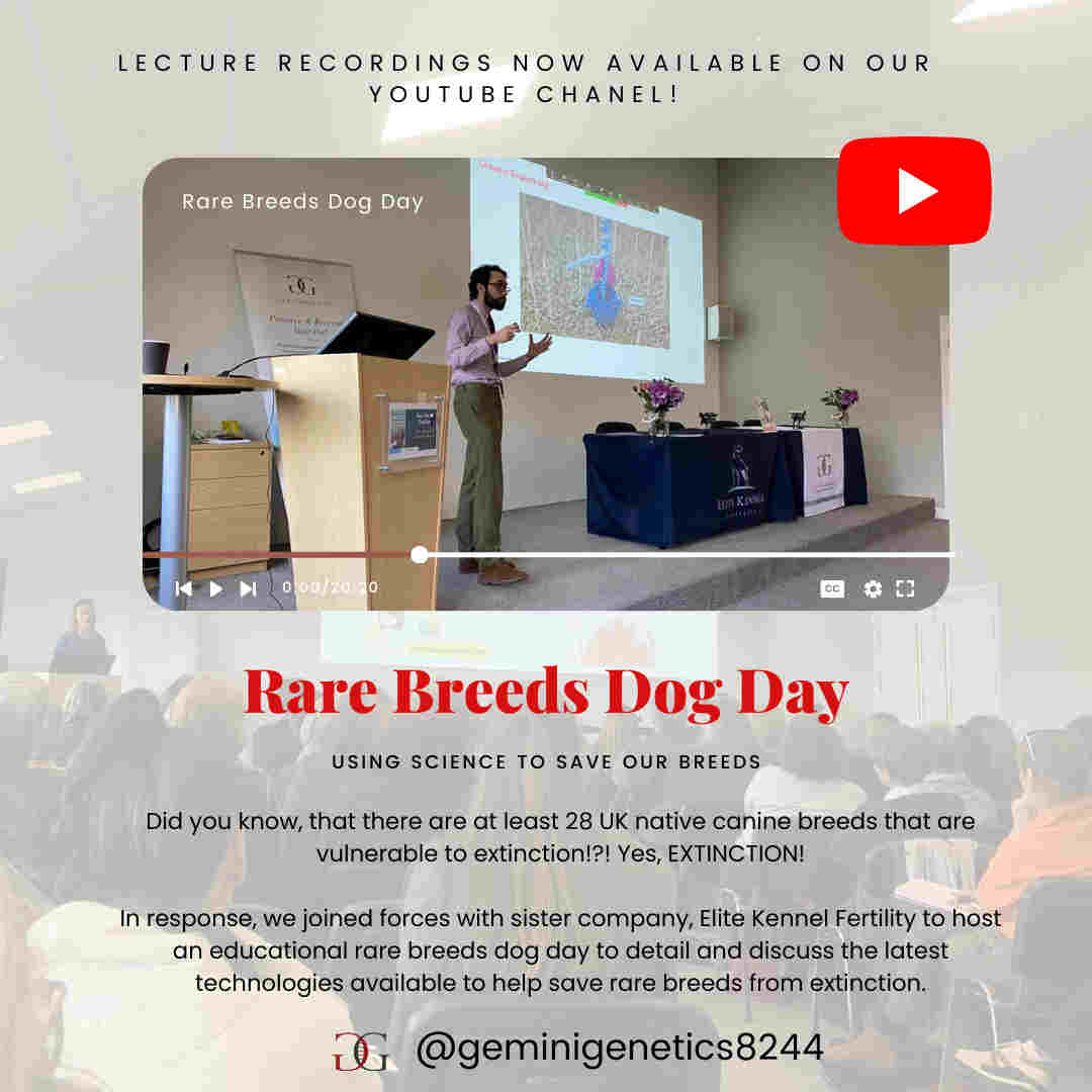 rare breed dogs