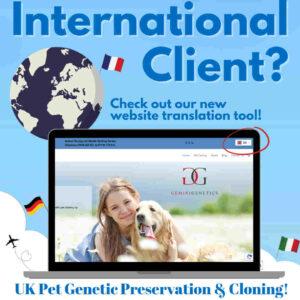 International client