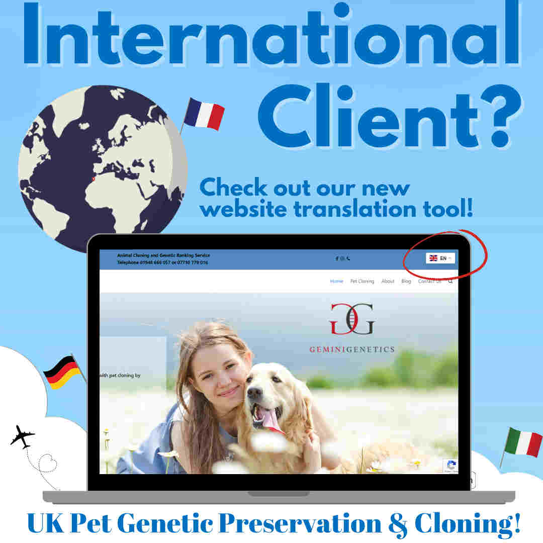 International client