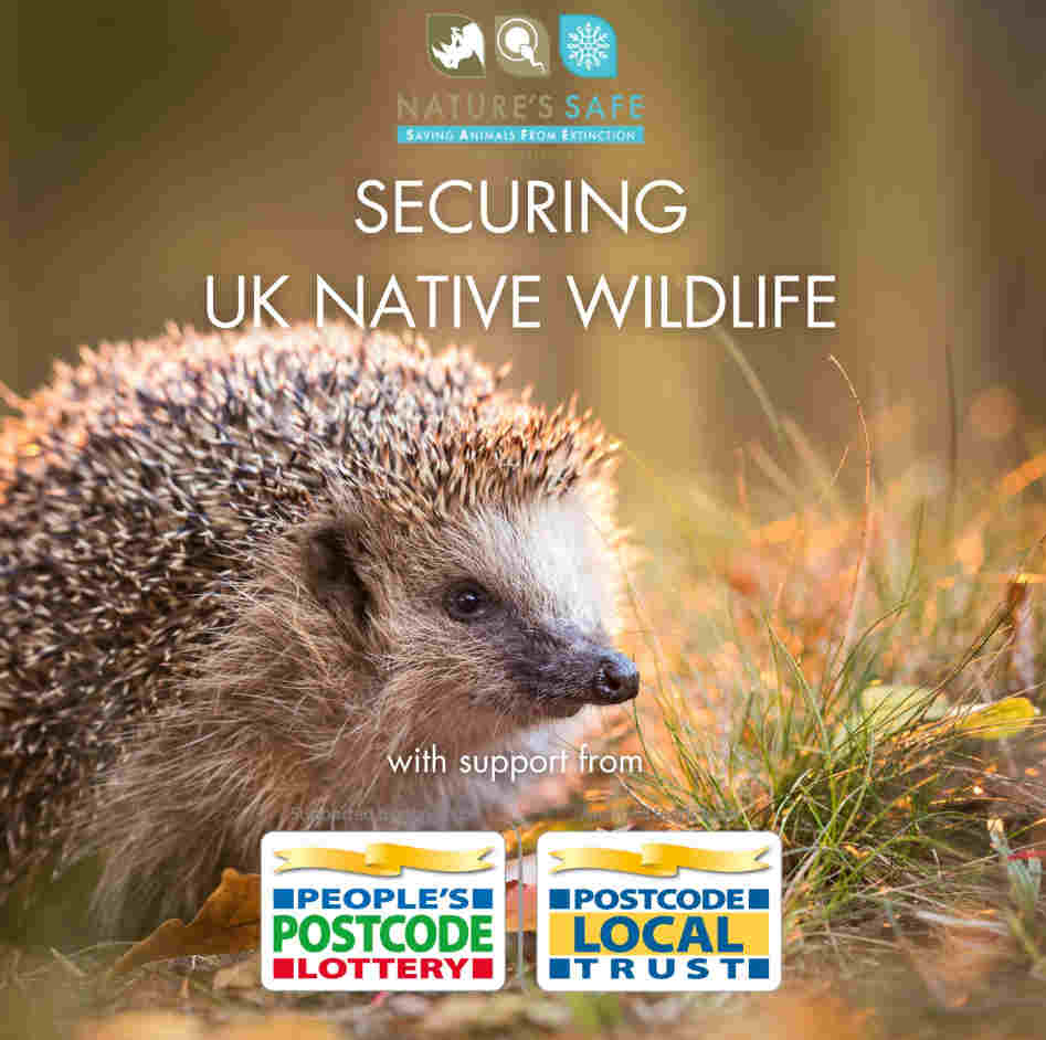 Nature's SAFE UK Native Wildlife Conservation
