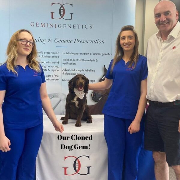 why choose Gemini Genetics