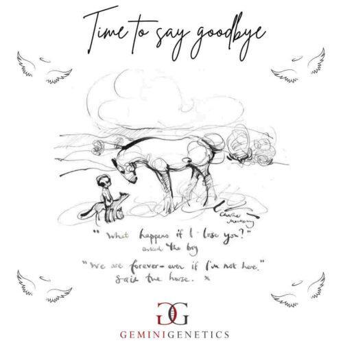 Pet Loss Gemini Genetics