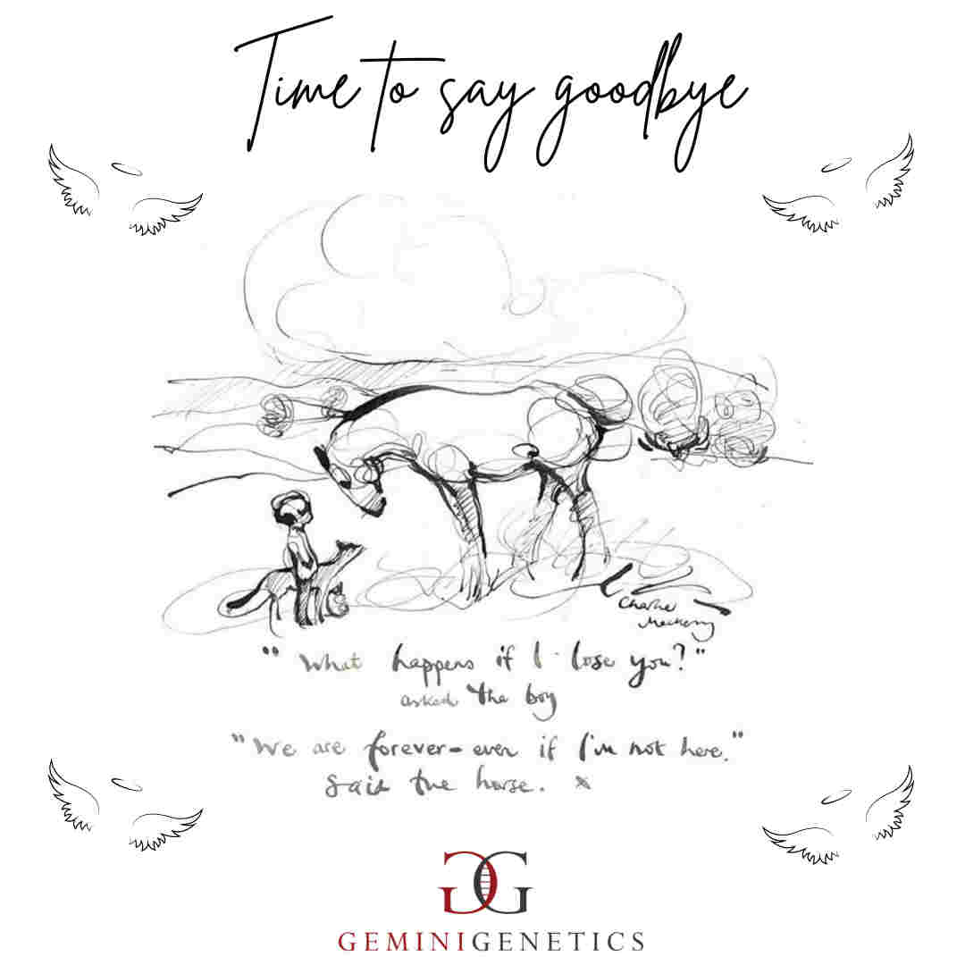 Pet loss gemini genetics