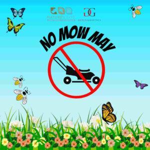 no mow may
