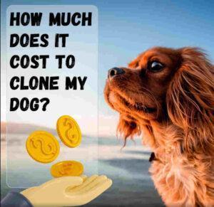 COST TO CLONE A DOG
