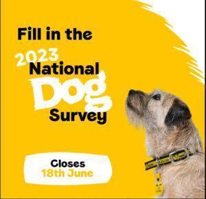 dog trust survey