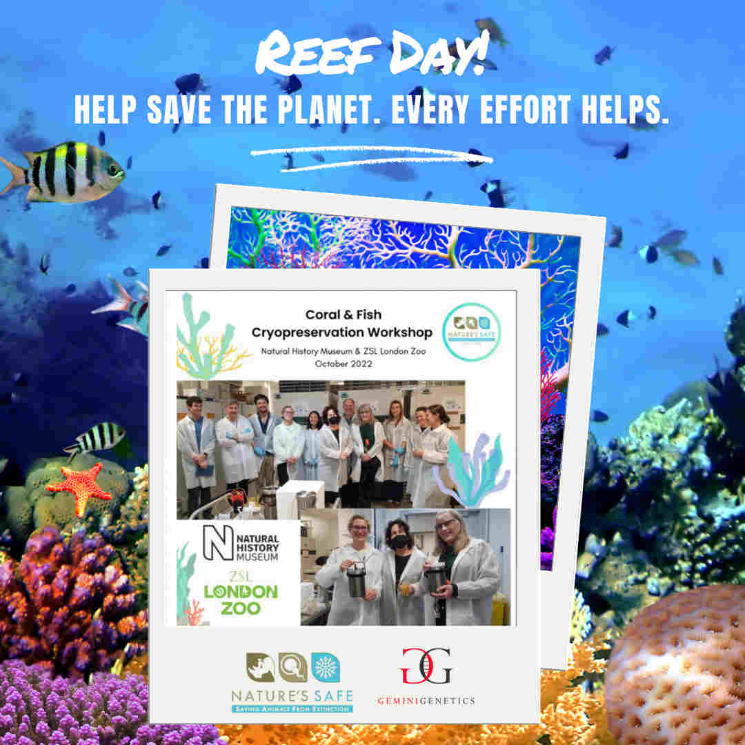 reef day Natures safe