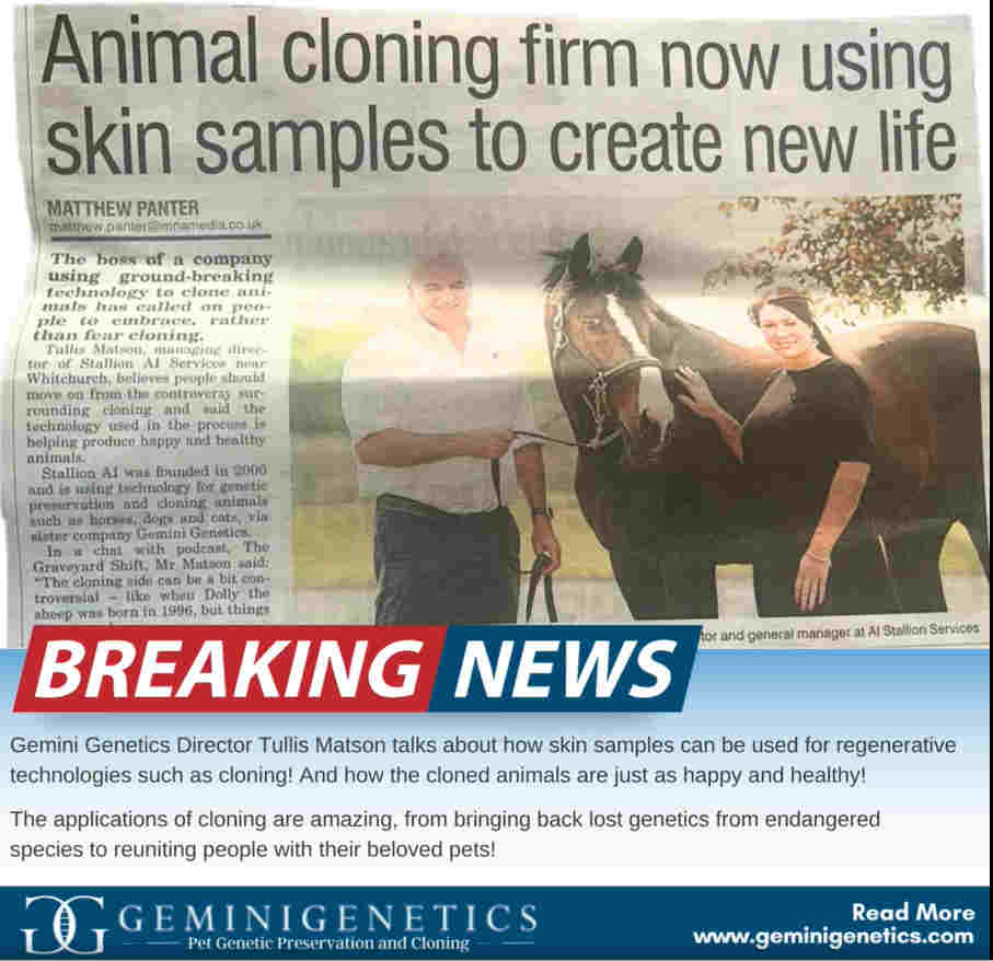 Gemini genetics makes local news headlines