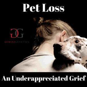 pet loss grief