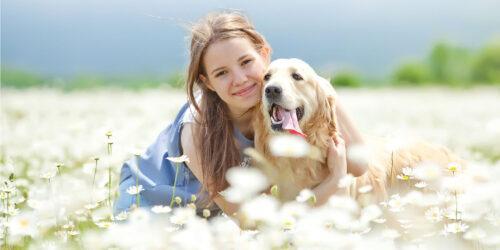 Dog cloning photo