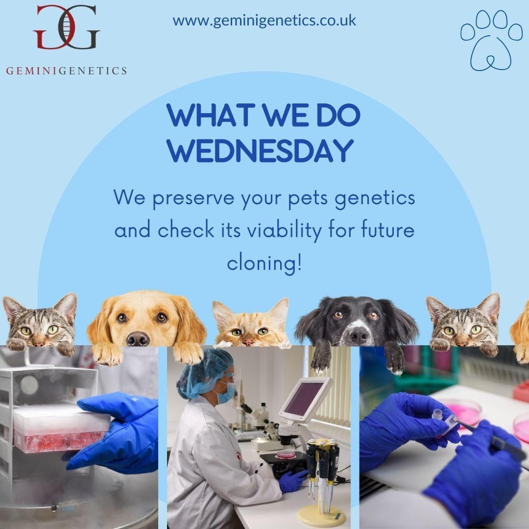 Gemini Genetics- What we do Wednesday